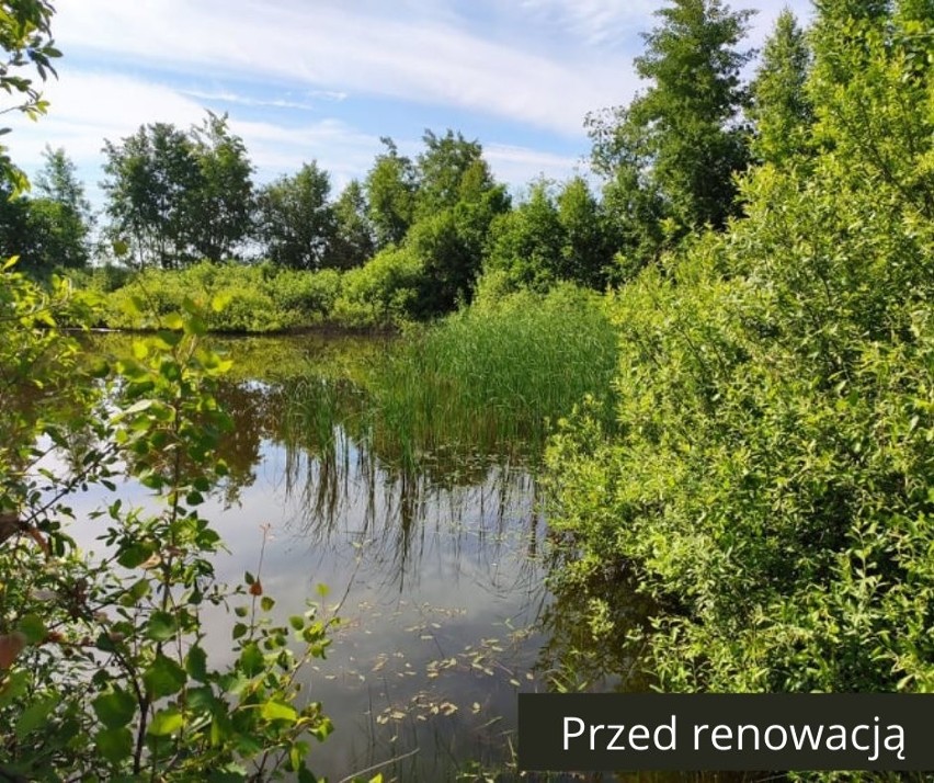 Zbiornik wodny w Karolewie w gminie Pniewy jest już oczyszczony i wzmocniony