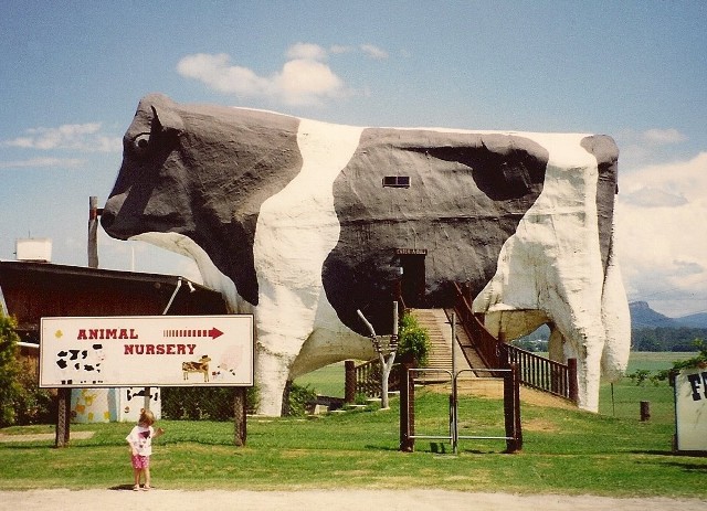 Sklep z pamiątkami w kształcie krowy w Wauchope w Australii. Zburzony w 2007 r.Przejdź do kolejnych zdjęć za pomocą strzałek lub gestów.