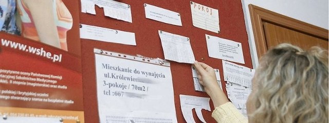 Na tablicy ogłoszeń w WSHE przy ul. Okrzei jest sporo ofert dotyczących wynajmu pokojów lub mieszkań dla studentów