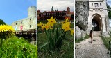 Najpiękniejsze zamki w Małopolsce na wiosnę. Zwiedzanie, cenniki. W sam na wyprawę na weekend. Piękne zdjęcia z Instagrama