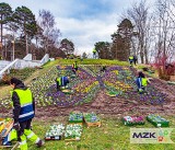 Motyl z bratków w Parku Miejskim w Stalowej Woli. Zobacz zdjęcia 