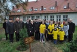 Burmistrz i radni Kluczborka zasadzili drzewo przy hospicjum
