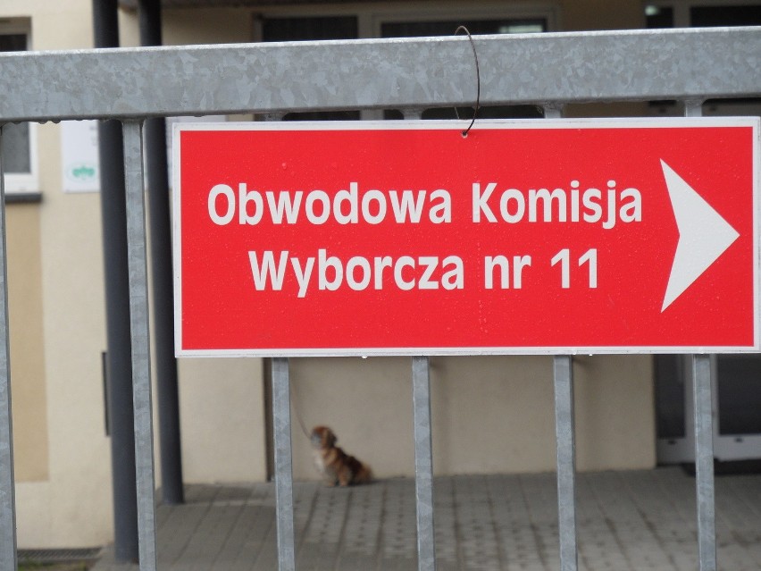 Wybory prezydenckie 2015: Myszków Druga tura wyborów prezydenckich [ZDJĘCIA]