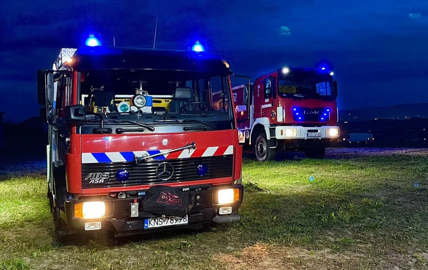 Ogniowe larum nad Jeziorem Rożnowskim. Do pożaru w Bilsku ruszyło 5 zastępów straży