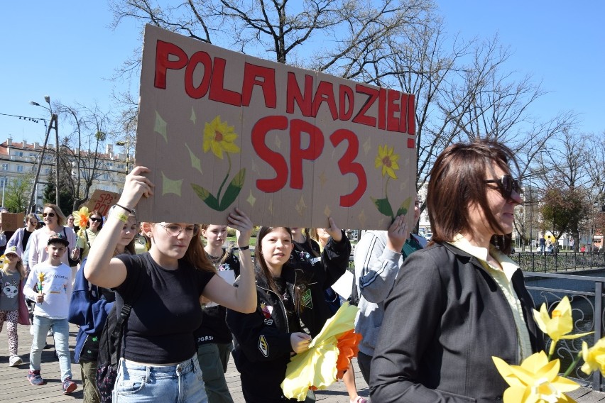 Żonkilowa parada przeszła ulicami Pruszcza Gdańskiego
