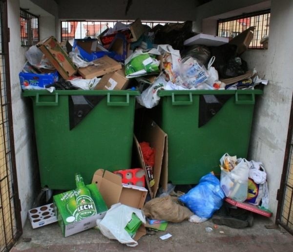 Spalarnia odpadów w Białymstoku - czy to konieczność?