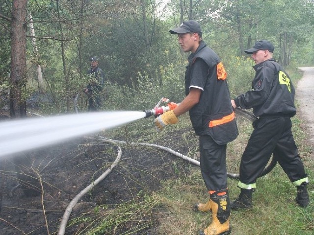 Strażacy gaszą pożar nieużytków w Rudniku nad Sanem.