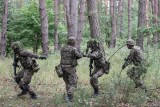 Dezinformacja w sprawie nadgodzin żołnierzy Wojska Polskiego. Szef MON Mariusz Błaszczak wyjaśnia
