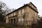 Wspaniały pałac w Poznaniu popada w ruinę. Otaczający go park ma swoją tajemnicę