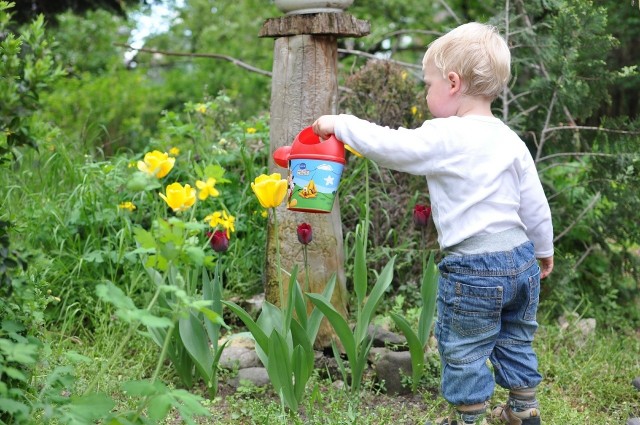 Wydzielenie osobnej grządki dla dziecka to świetny pomysł. Kto wie, może wyrośnie z niego znakomity ogrodnik? A nawet jeśli nie, to będzie miało okazję poznać rośliny i spędzić czas na powietrzu.