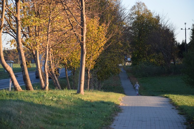 Z Krotoszyna do Piechcina wiedzie 8-kilometrowy odcinek ścieżki. Na ten do Pakości gmina Barcin nie otrzymała dofinansowania