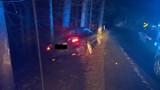 Pijany niemiecki kierowca uciekał przed policją i wjechał w drzewo