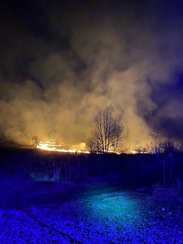 Pożar traw w Wierzchowiu w gminie Wielka Wieś