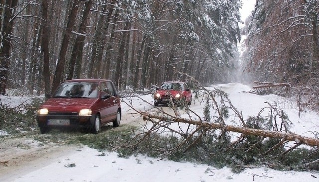 Powalone drzewo trasuje drogę na odcinku Olesno-Kolonia Biskupska.