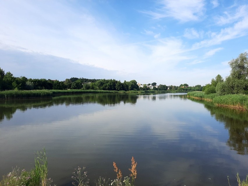 Kobieta została uratowana i trafiła do szpitala.