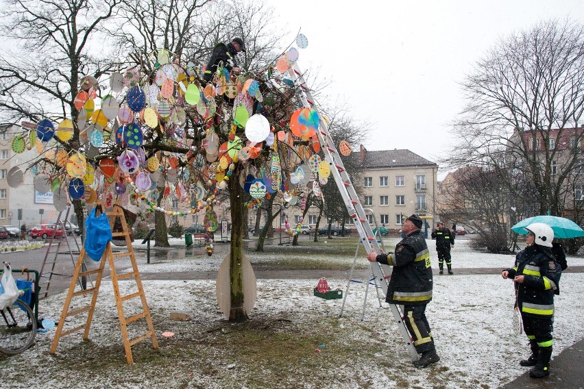 1500 papierowych jajek na drzewie w Słupsku.