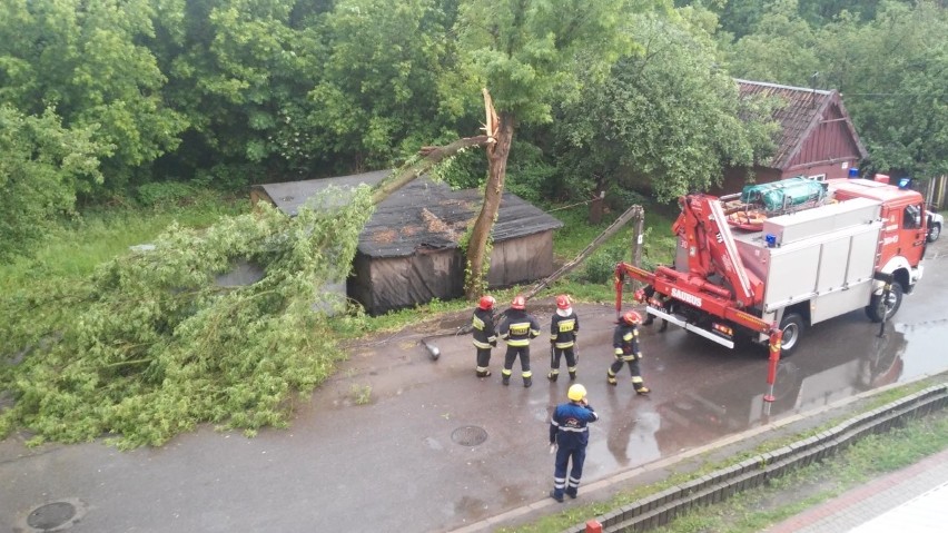 Drzewo spadło na dom przy ulicy Żelaznej w Białymstoku