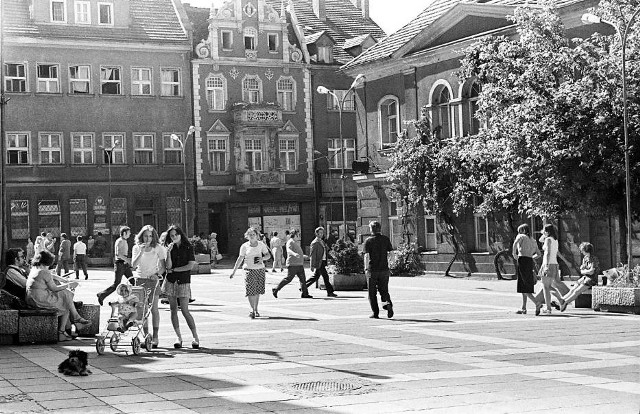 Jak dawniej wyglądała Zielona Góra? Oglądając te zdjęcia jedni powiedzą "pamiętamy te czasy". A inny nie będą mogli uwierzyć, że to miasto, w którym teraz mieszkają. Zapraszamy was na małą podróż w czasie. Sprawdźcie, czy rozpoznacie te miejsca, zakamarki, budynki, ulice. Czy mocno zaskoczy was Zielona Góra z dawnych lat. 