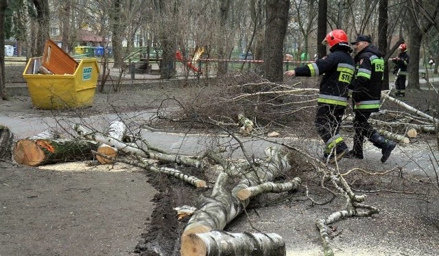 IMGW zapowiada silny wiatr w Kujawsko-Pomorskiem