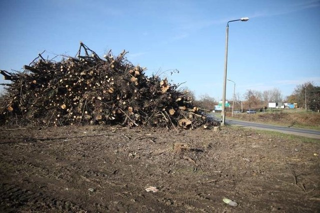 Włoska firma przed zakończeniem prac zdążyła wyciąć 90 proc. drzew na planowanej trasie S7
