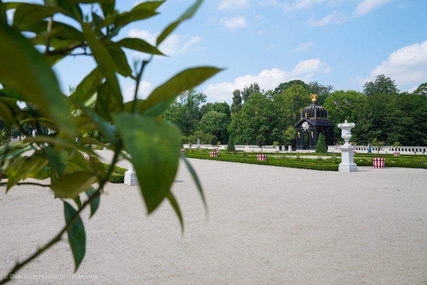 Rzeźby w Ogrodach Branickich zostały odnowione