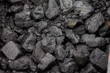 Lubuscy samorządowcy wezmą udział w dystrybucji węgla