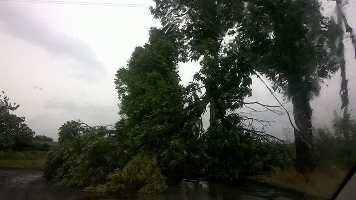 Wichura łamała drzewa, które blokowały drogi.