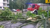Burza nad Lublinem. Połamane drzewa, uszkodzone auta, zalane ulice [ZDJĘCIA]
