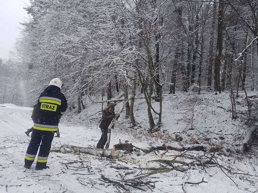 Strażacy walczą z zimowymi utrudnieniami. Powalone drzewo w Białym Kościele