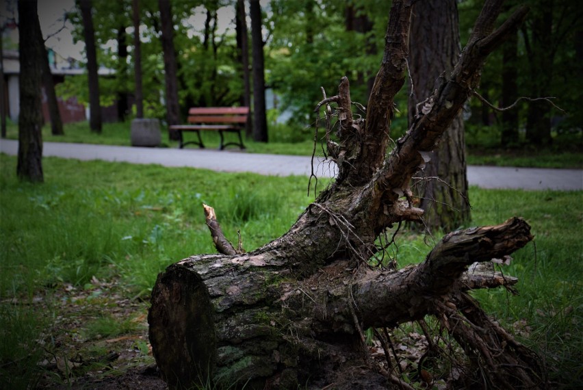 Tak obecnie wygląda Park Orderu Uśmiechu. Mieszkańcy boją...