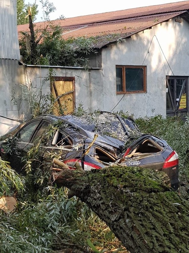Do zdarzenia doszło na terenie jednej z firm przy ul. Zielińskiego w Przemyślu. Podczas burzy, drzewo przygniotło samochód. Nikomu nic się nie stało. Zdjęcia otrzymaliśmy od internauty.ZOBACZ TEŻ: Pogoda na Podkarpaciu [15 sierpnia 2018] 