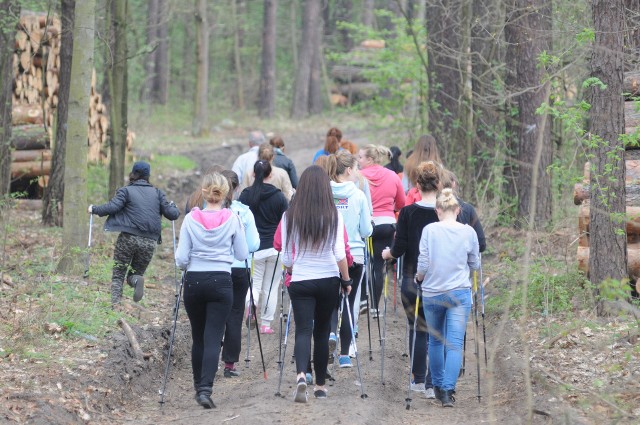 W niedzielę, 4 lipca, zielonogórski oddział PTTK zaprasza na wycieczkę leśnymi i polnymi ścieżkami.