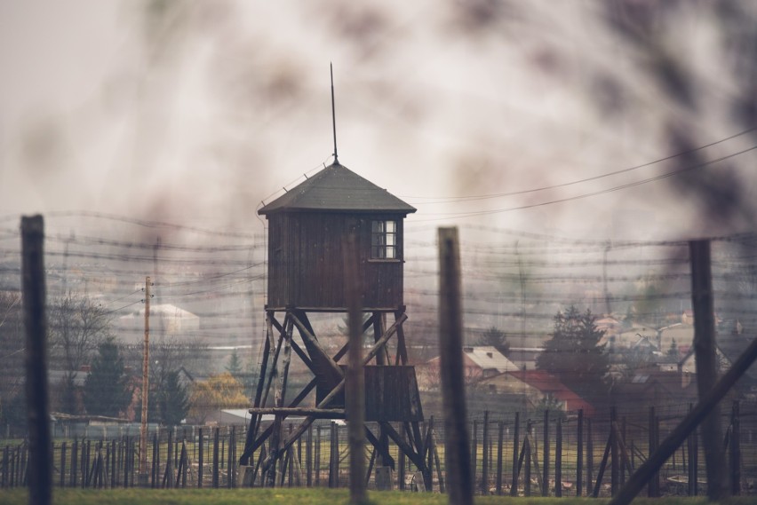 Majdanek w obiektywie