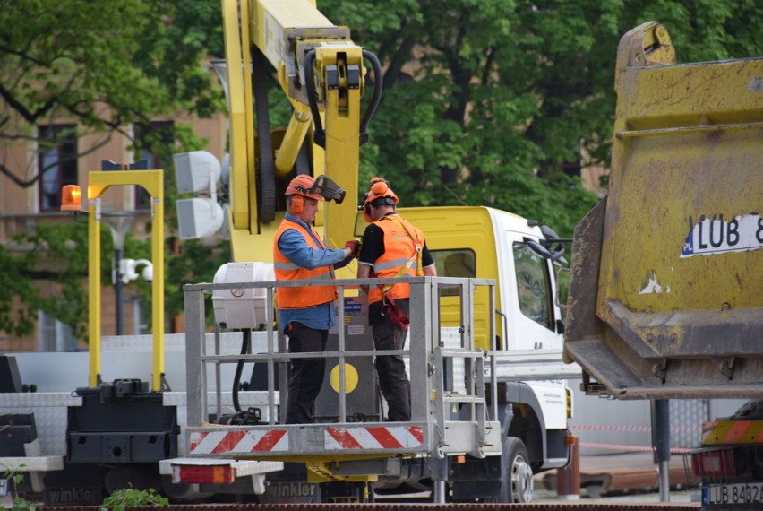 Wycinka drzewa na placu Litewskim: Baobab przeszedł do historii 