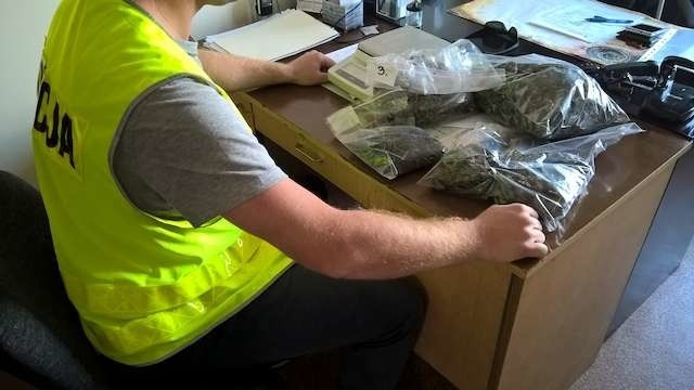 Pruszcz. Policjanci zabezpieczyli m.in 0,5 kg suszu marihuany