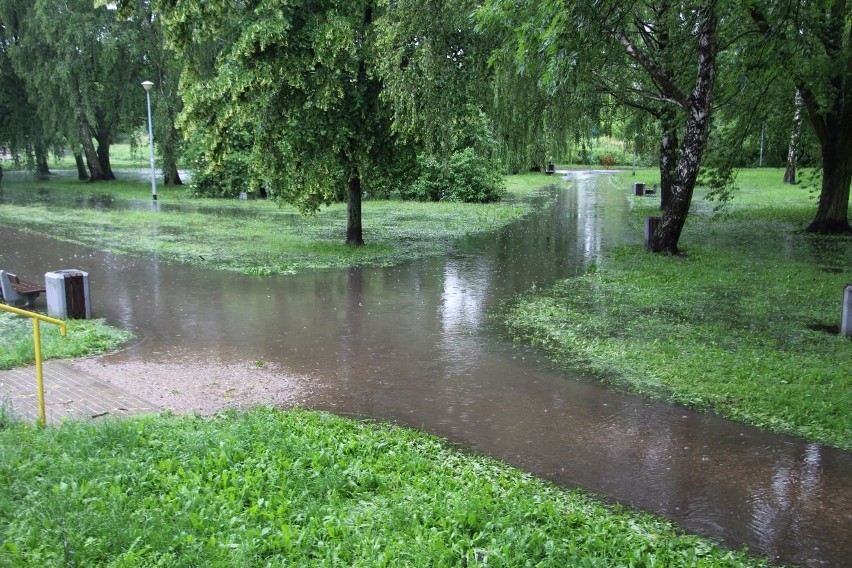Białystok. Park Antoniuk pod wodą. Nad Białką pojawiły się jeziorka (zdjęcia)
