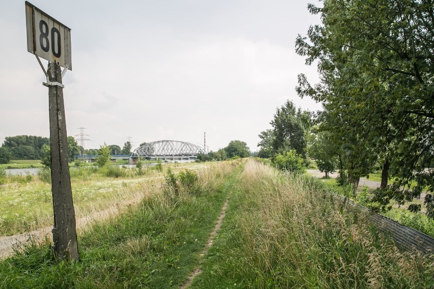 Kraków. Wybudują drogę do uczelni prezydenta [ZDJĘCIA]