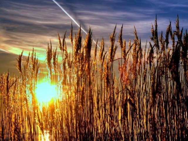 Na szczęście, meteorolodzy zapowiadają koniec chłodnych dni. Od połowy miesiąca, na niebie będzie coraz więcej słońca, a słupki rtęci przekroczą 14st. Celsjusza. Natomiast, ostatniego tygodnia marca termometry wskażą ponad 20st. Celsjusza.