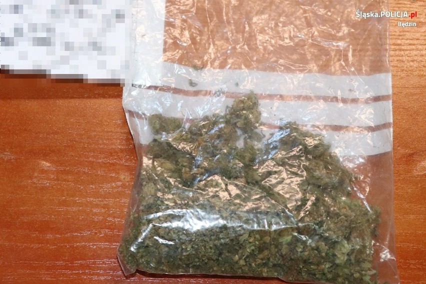 Będzińska policja zatrzymała podejrzanych o handel narkotykami. W ich mieszkaniach znaleziono łącznie 350 gram marihuany i 20 tysięcy zł