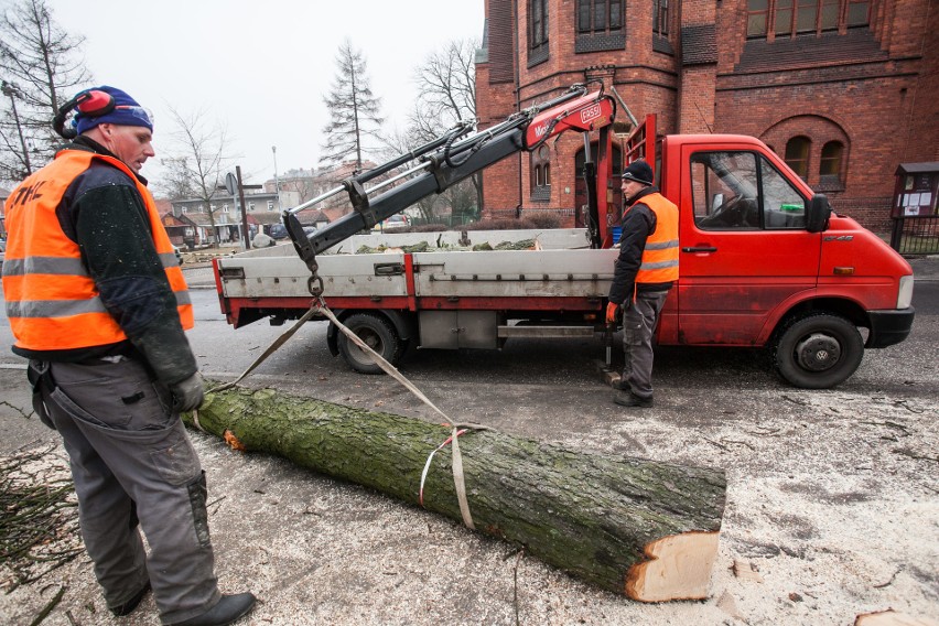 Kasztanowce na placu Kościeleckich trafiły pod piłę [zdjęcia]