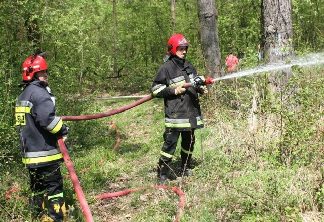 W jednej części lasu zwierzynieckiego pożar gasili strażacy zawodowi&#8230;