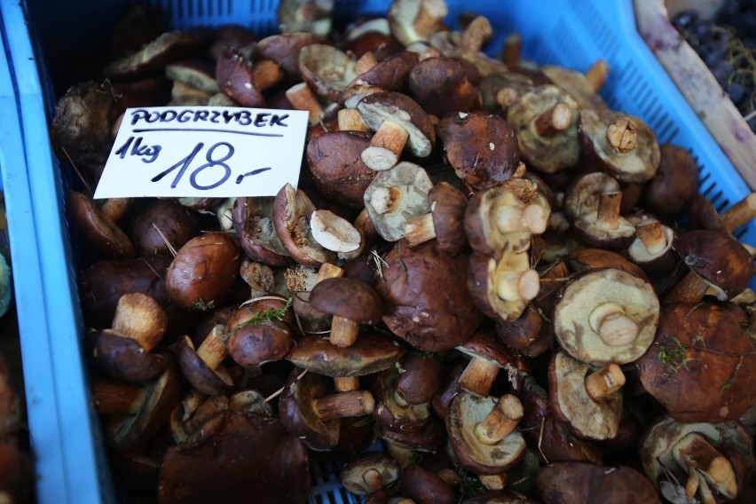 We Włoszech zbieranie grzybów regulują specjalne przepisy....
