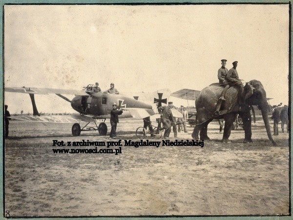 Operacja wydobywania głazu trwała trzy godziny. Po jej zakończeniu słonie pozowały do zdjęć przeciągając samoloty. Kamień został natomiast przetransportowany, zapewne po widocznych  na zdjęciu torach, pod kantynę