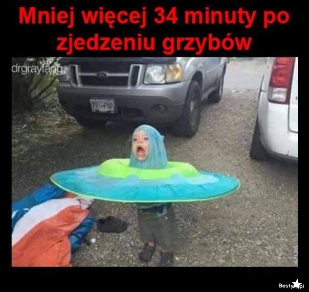 MEMY o grzybiarzach! Grzybobranie na wesoło.