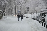 Śnieg w Zakopanem będzie ewenementem? Synoptycy mają złe prognozy