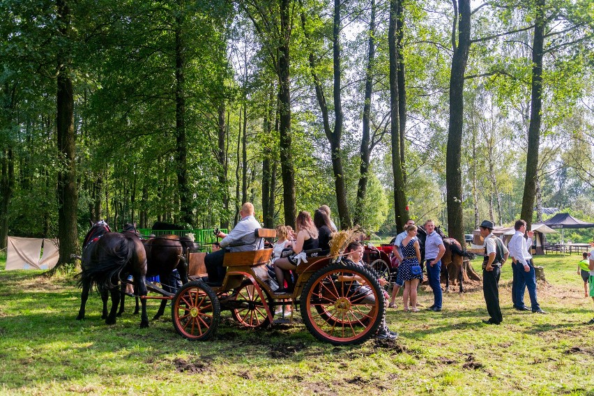 Dożynki w Mysłowicach 2016: Rolnicy dziękowali za tegoroczne...