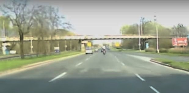 Jeleń strącił motocyklistę z maszyny. Dramatyczny wypadek nagrał kierowca samochodu [wideo]