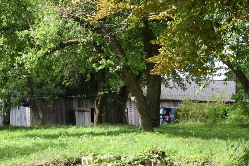 Potrójne zabójstwo w Piaskach Szlacheckich. Podejrzani są synowie zamordowanego małżeństwa