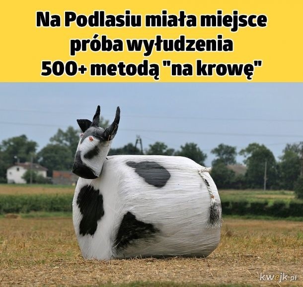 Sylwester na Podlasiu do gratka nawet dla gwiazd światowej...