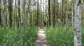 Magiczne miejsca na Podlasiu - cz. II. Ciekawe, niezwykłe, tajemnicze
